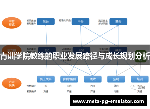青训学院教练的职业发展路径与成长规划分析